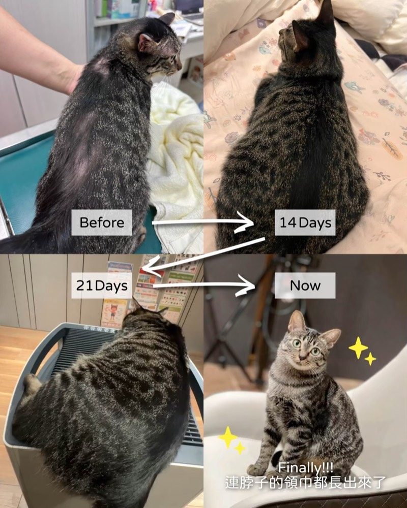 見證分享 1