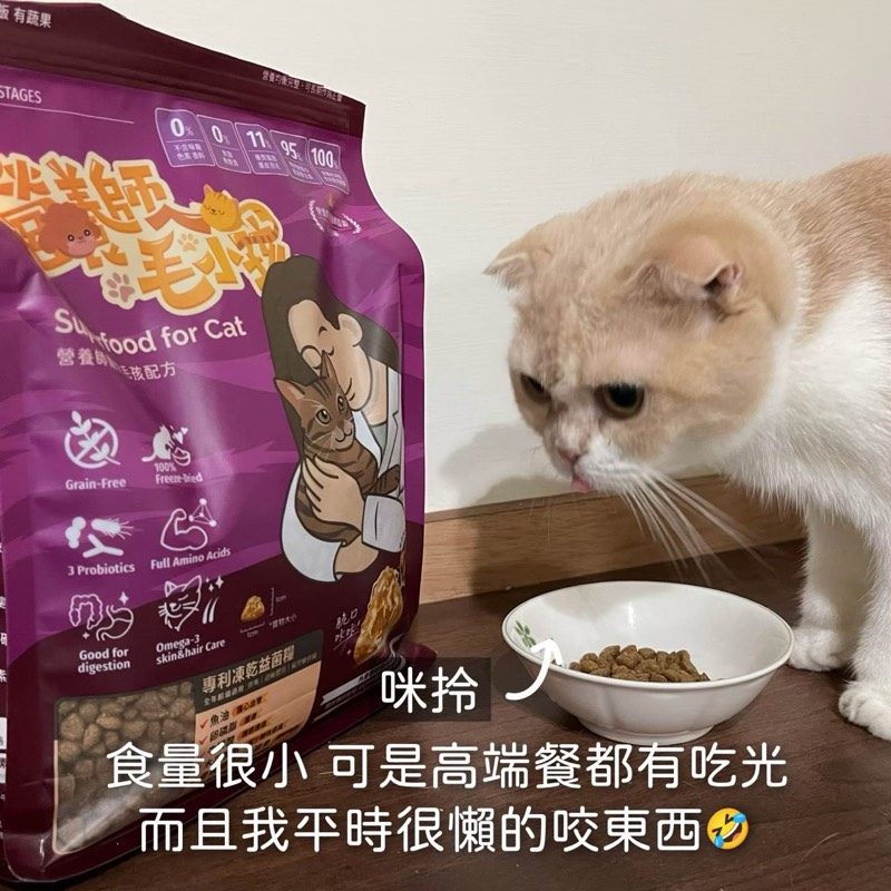 見證分享 2