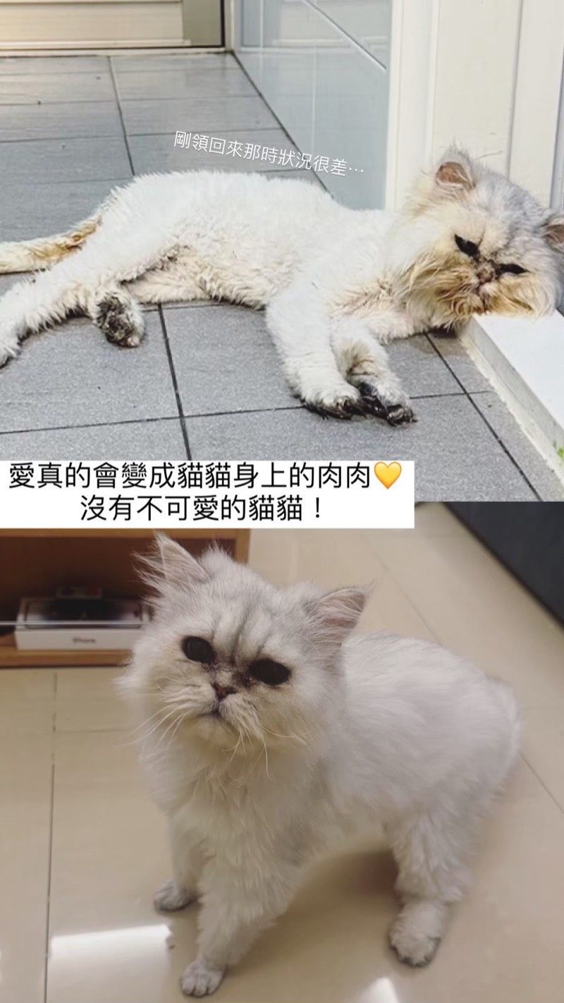 見證分享 3