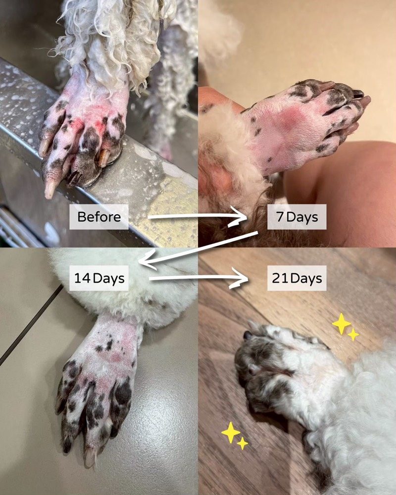 見證分享 5