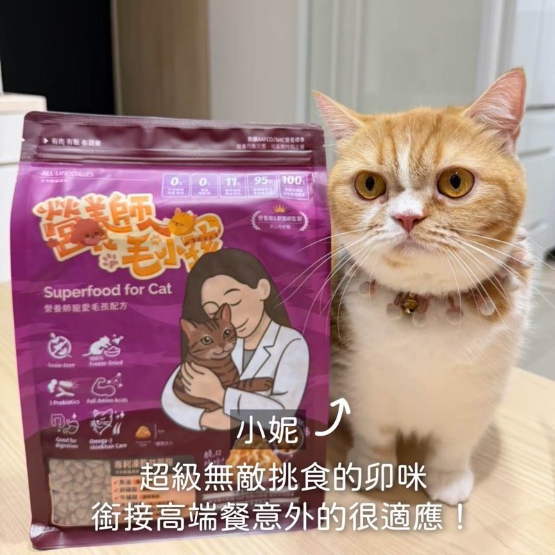 見證分享 6