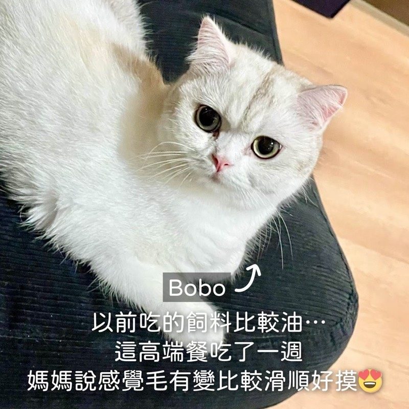 見證分享 7